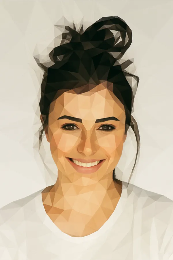 Low Poly Art transformation