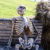 Waiting Skeleton